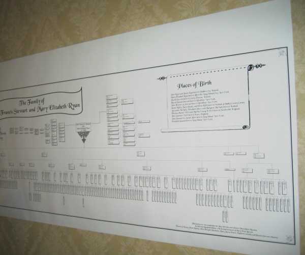 Family Reunion Family Tree Charts